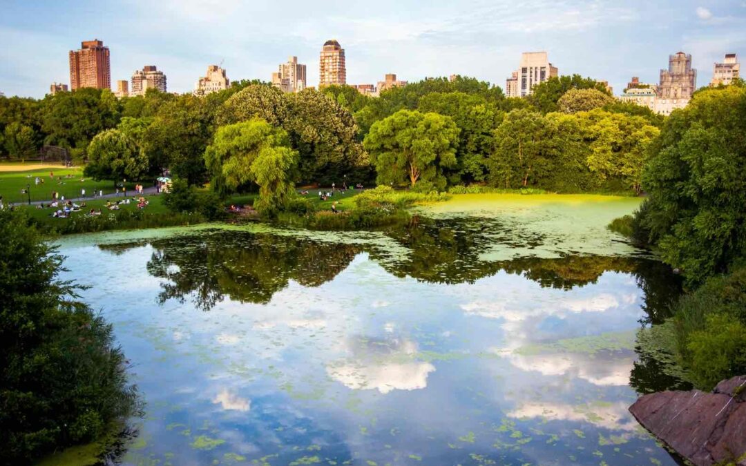 How Often Should Insurable Value Be Updated? A New York Commercial Owner’s Practical Schedule