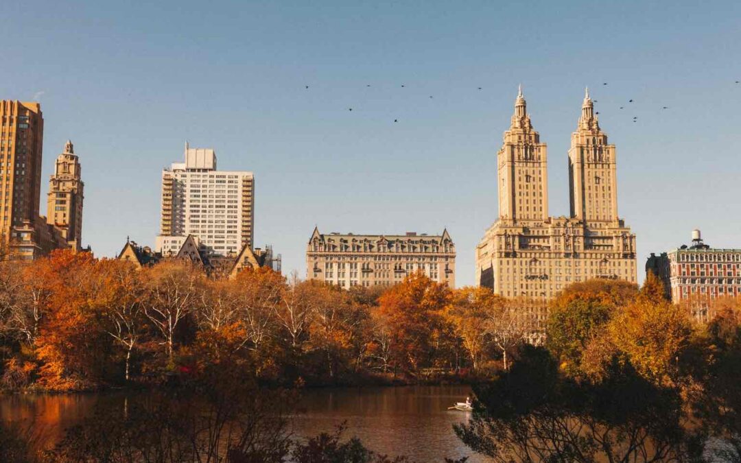 Essential Qualifications to Look for in a Property Value Expert: A New York Attorney’s Checklist